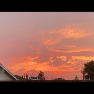 Meet your Posher, Araceli